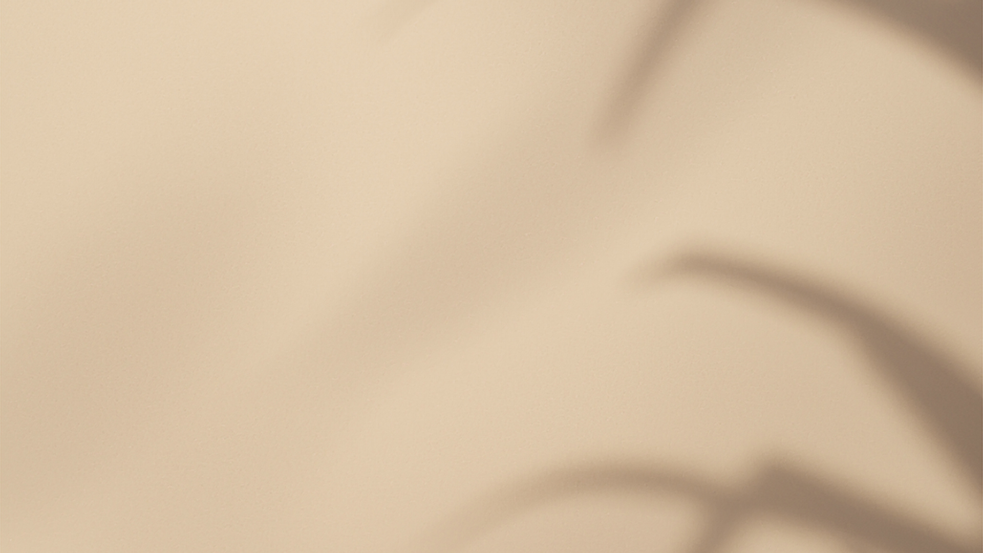 Designvorlage 2