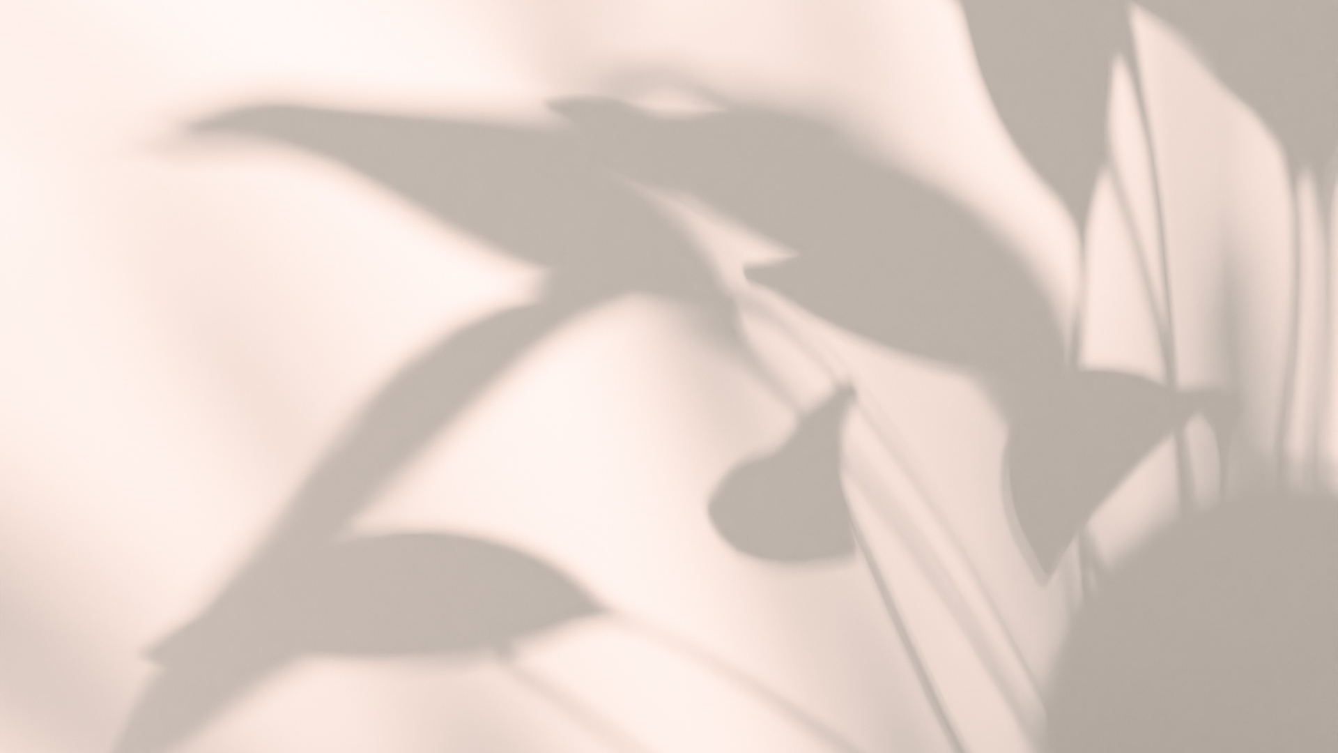 Designvorlage 10